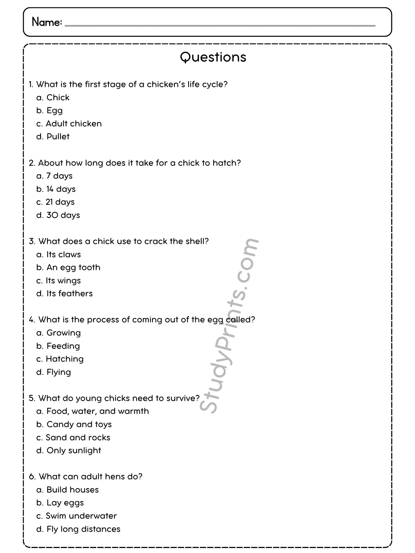 The Life Cycle of a Chicken Reading Comprehension Passage and Questions | Printable PDF product image (3)