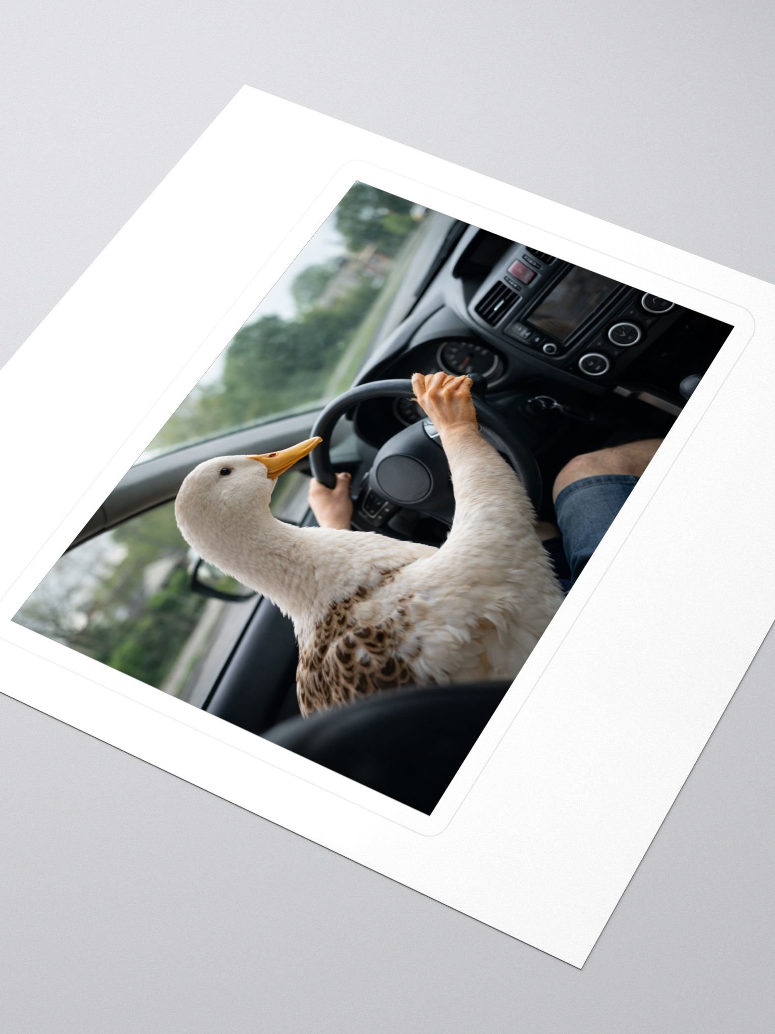 Driving Duck Sticker product image (3)