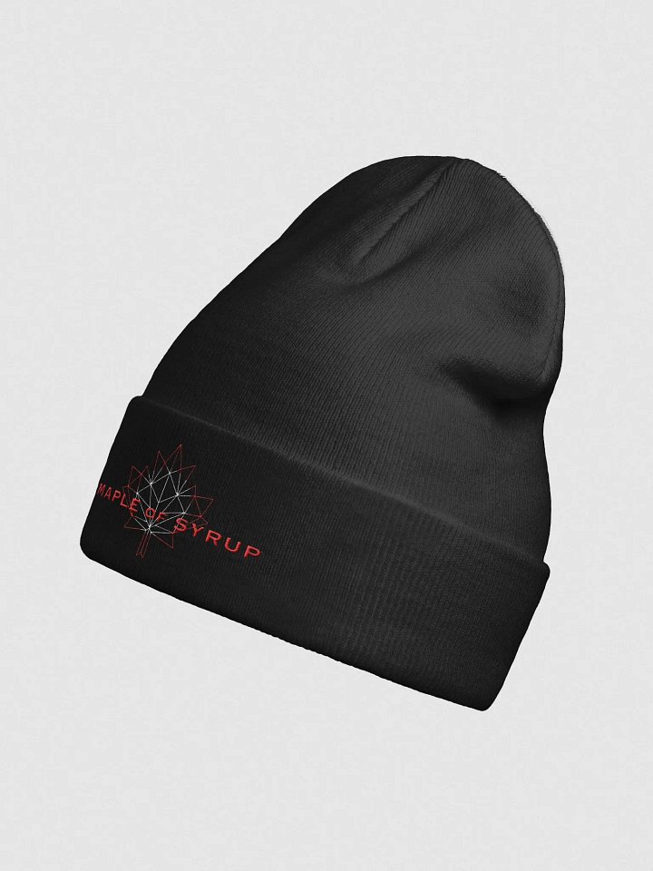 Beanie product image (2)