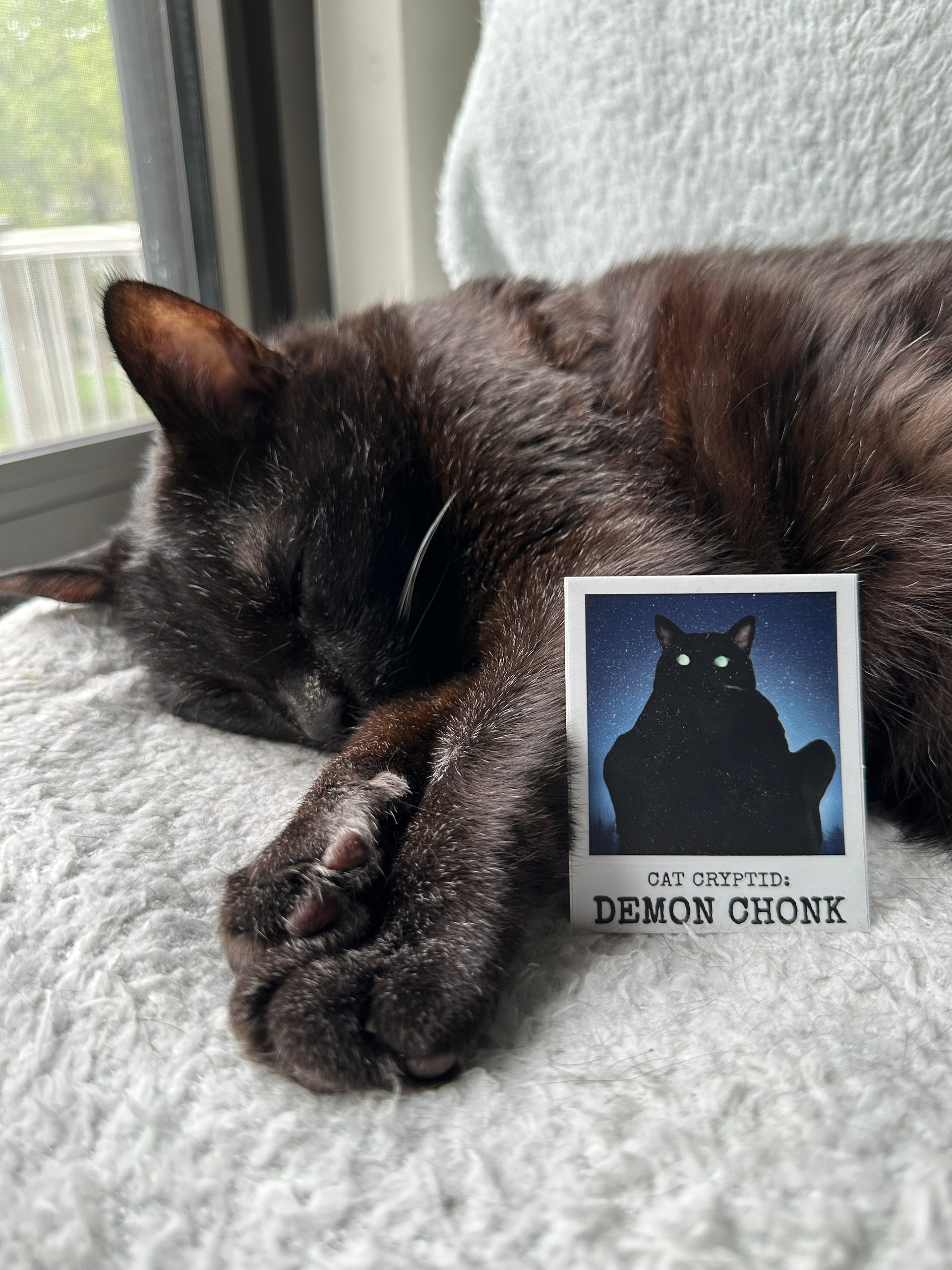 Demon Chonk cat cryptid sticker product image (2)