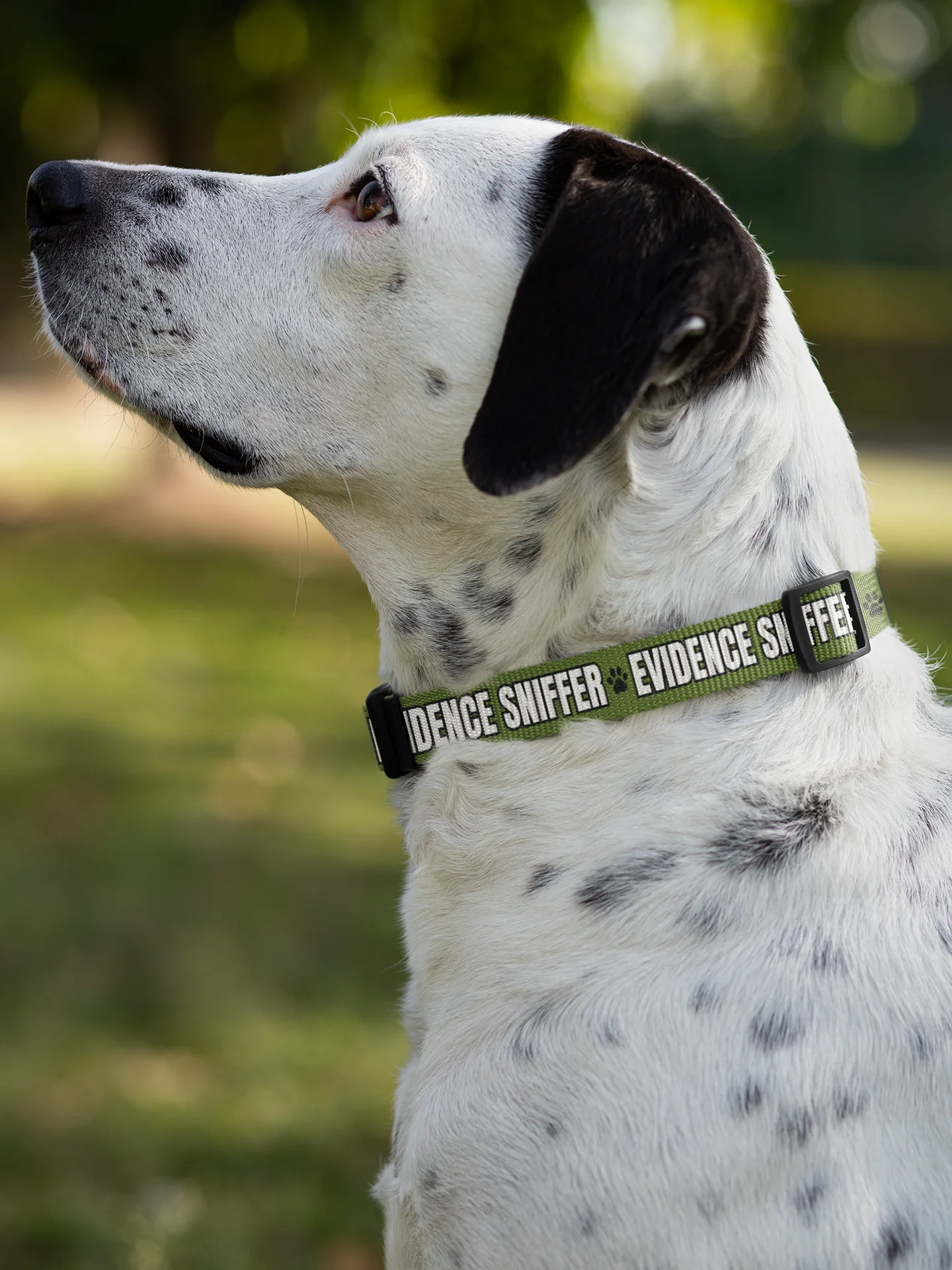 Evidence Sniffer Dog Collar product image (5)