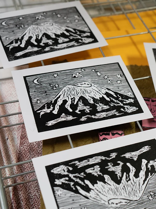 Mt. Edgecumbe product image (2)