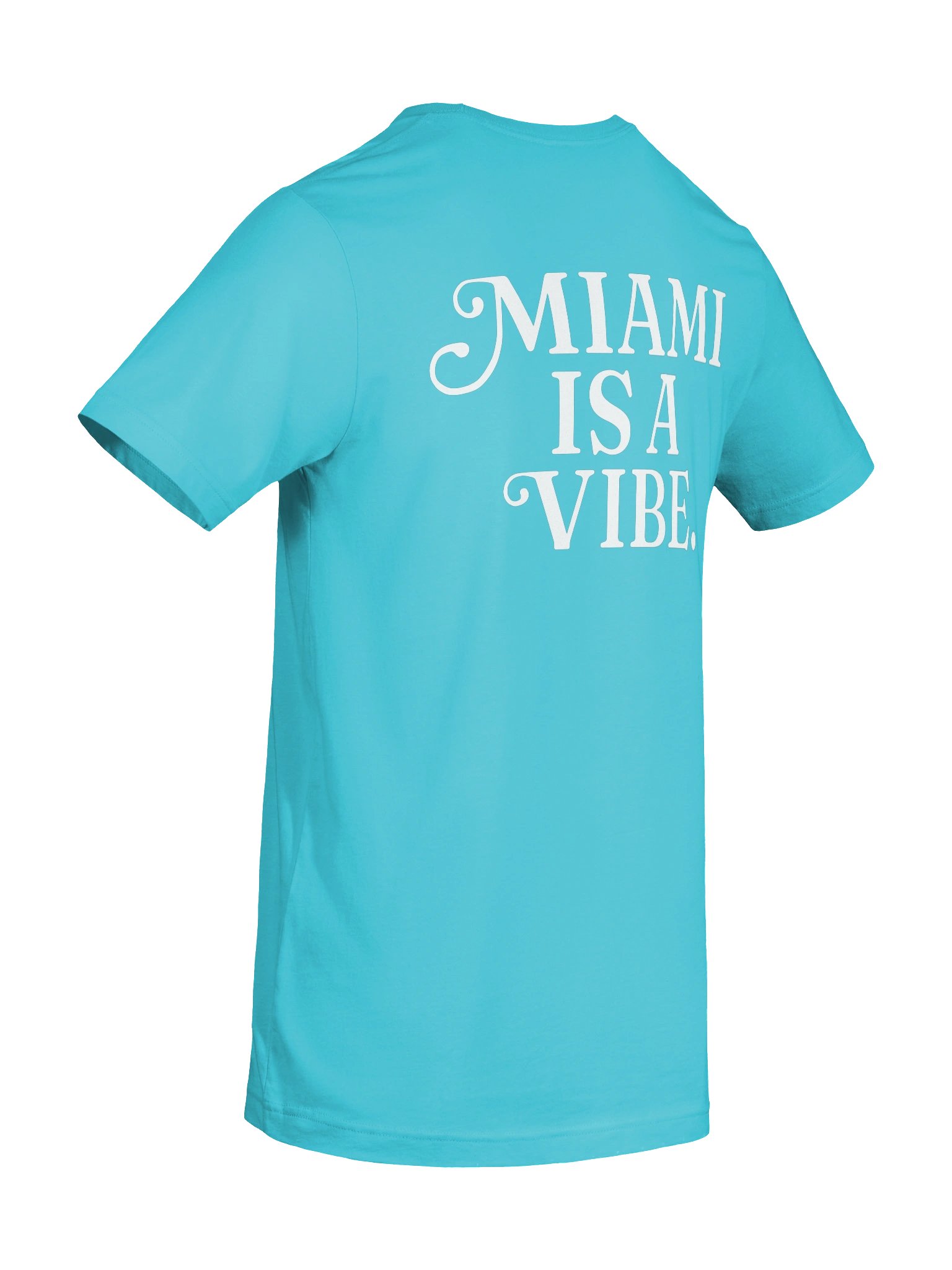 Miami Is A Vibe Tee — Biscayne product image (8)