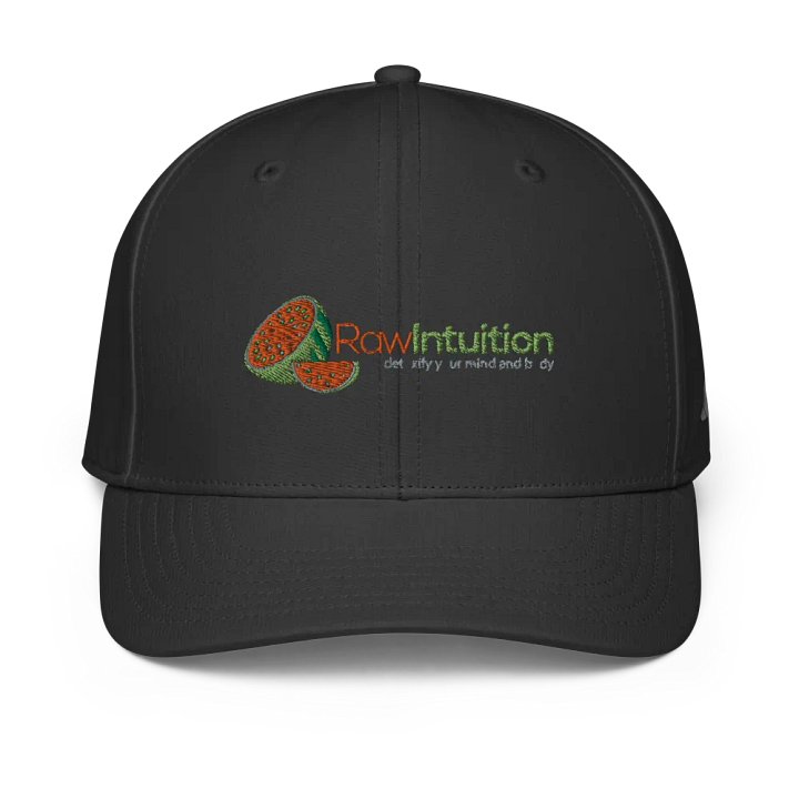 Watermelon Slice Logo Cap product image (1)