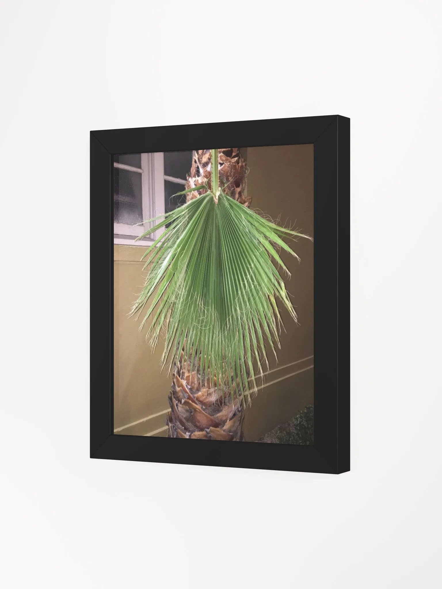 Lura product image (3)