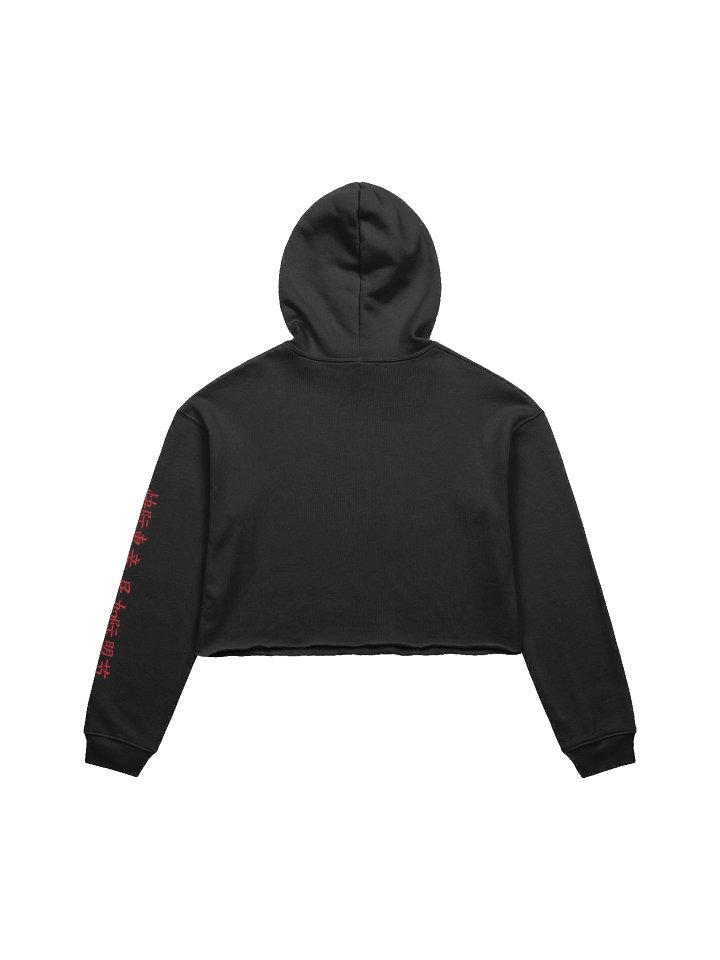 ALTER EGO IV Crop Hoodie product image (2)