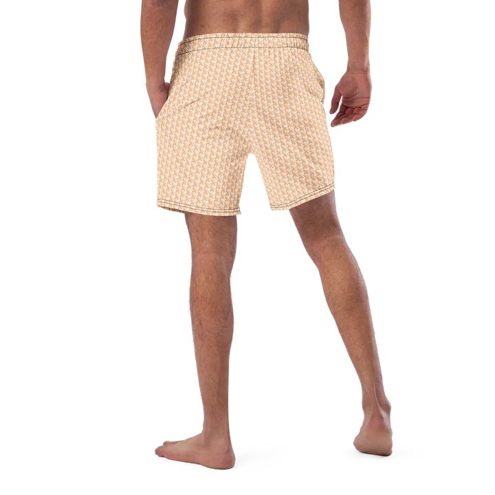 Syn-Stripe Trunks Orange/White product image (1)