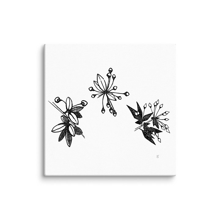 Blank Canvas: Unleash Your Artistic Vision - Stylized Plants product image (1)