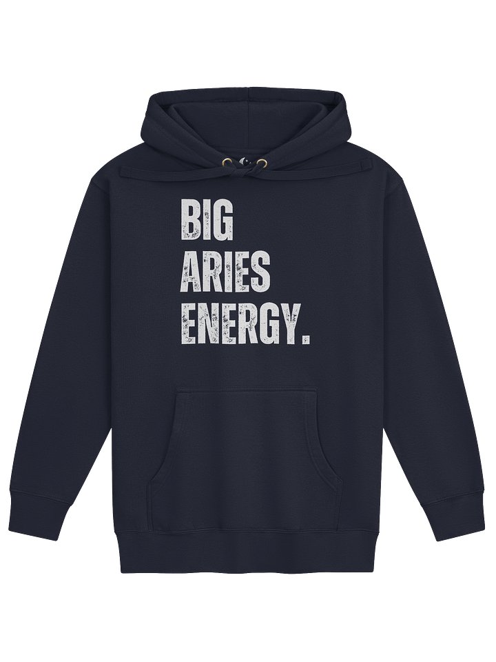 BIG ARIES ENERGY Hoodie product image (10)