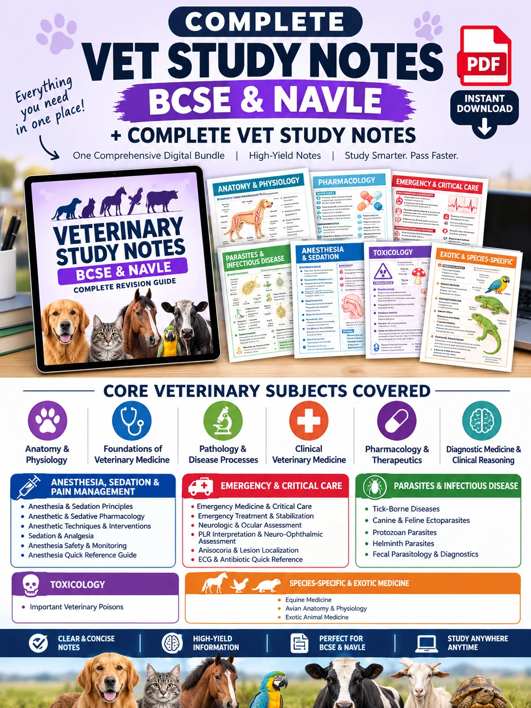 Complete Vet Study Notes (including BCSE & NAVLE Study Notes) product image (1)
