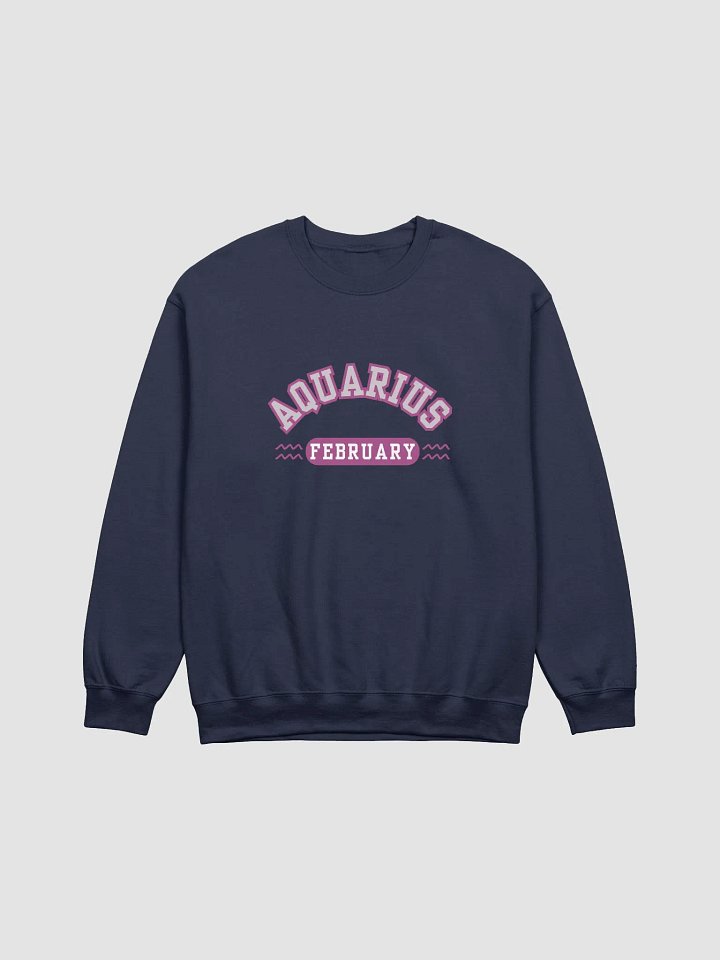 Aquarius February Zodiac Sign Sweatshirt product image (21)