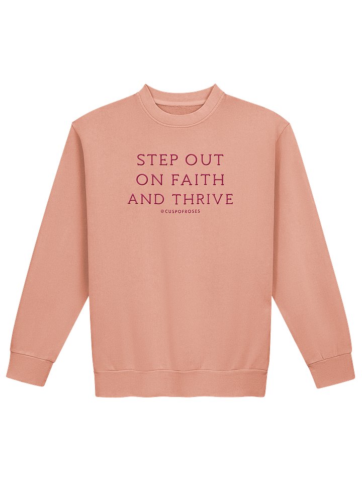 s.o.o.f.a.t. pink embroidered sweatie product image (1)
