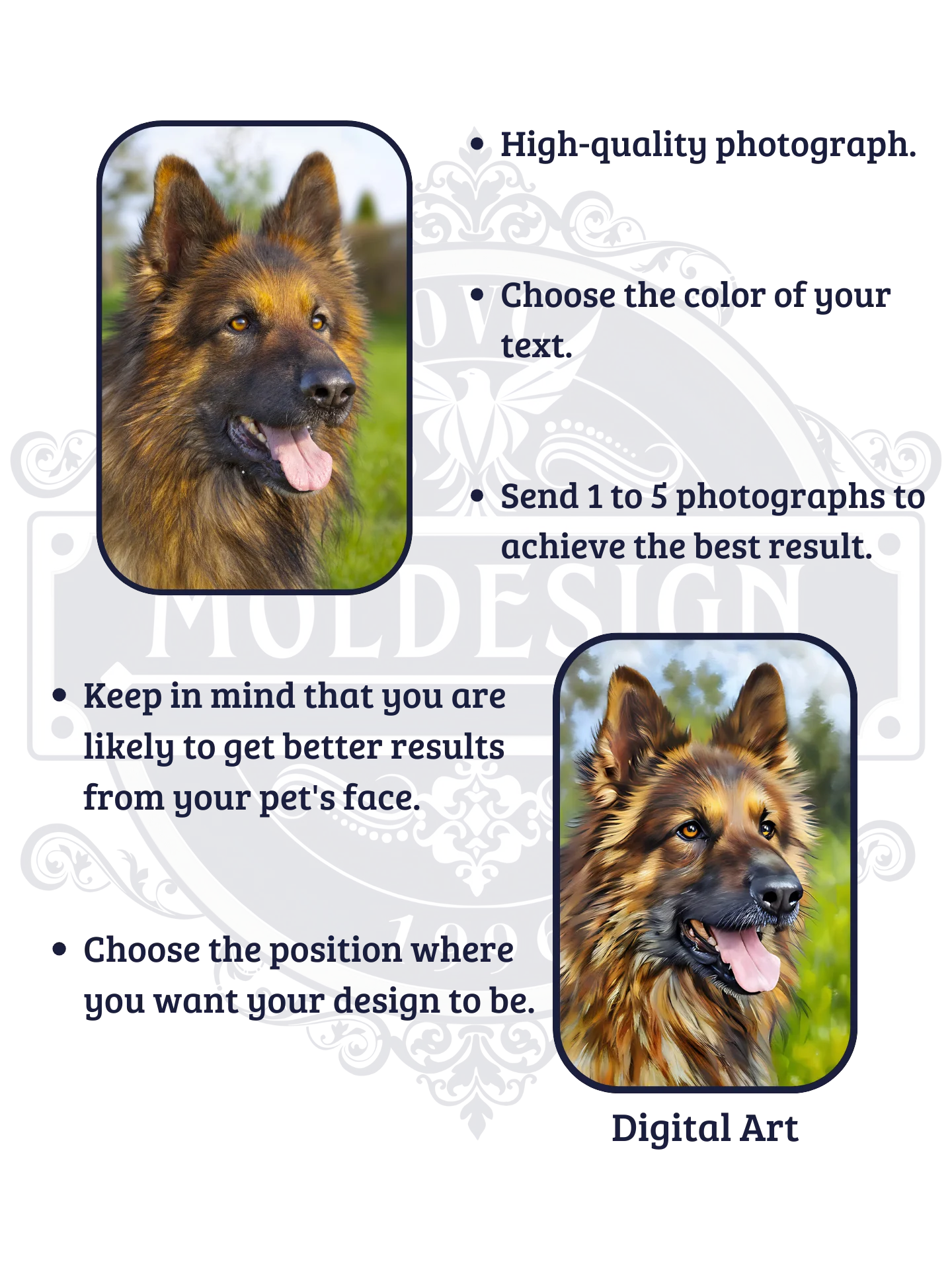 FRAMED PET ART / HIGH-QUALITY PRINT product image (4)