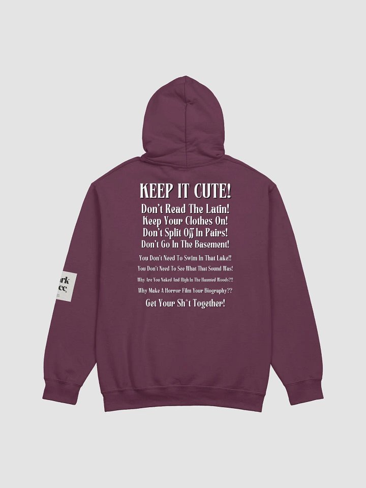Don't Read The Latin BSFR Hoodie product image (2)