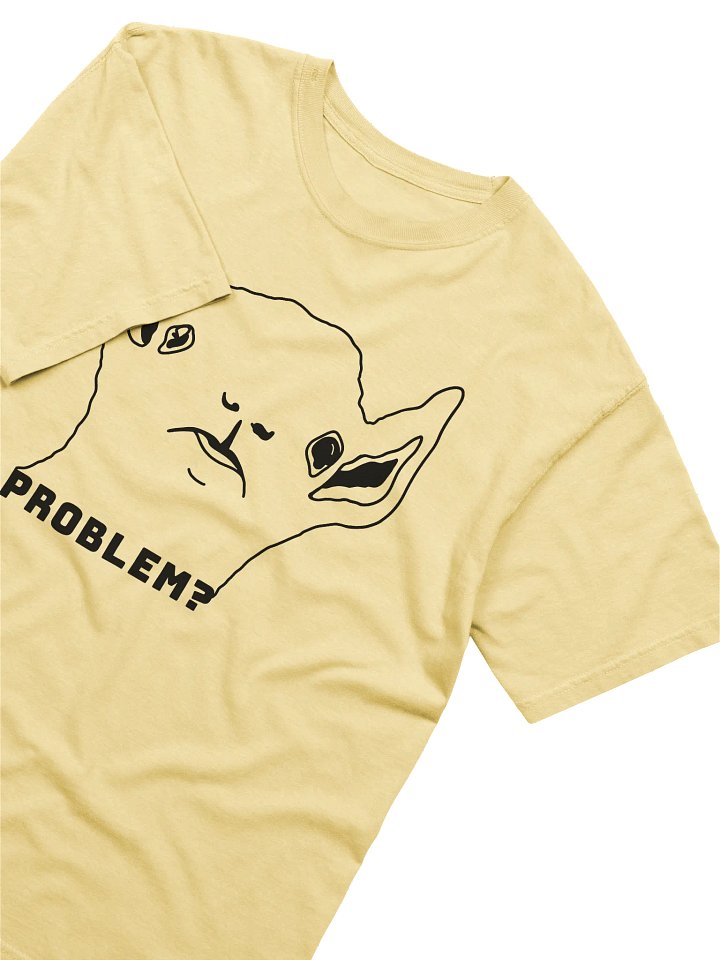 PROBLEM? - HEAVYWEIGHT T-SHIRT product image (2)
