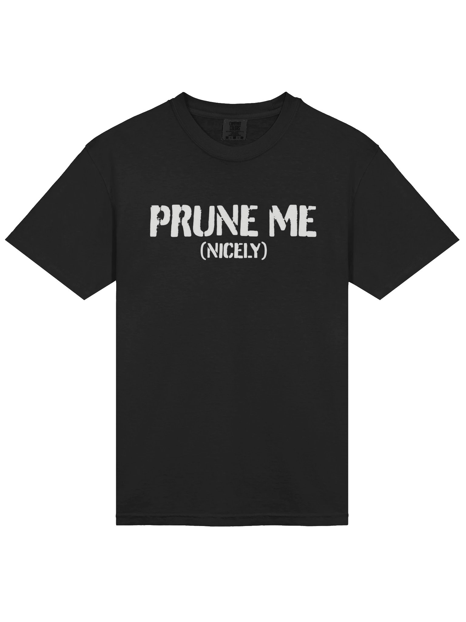 Prune Me (Nicely) Stencil Tee product image (57)