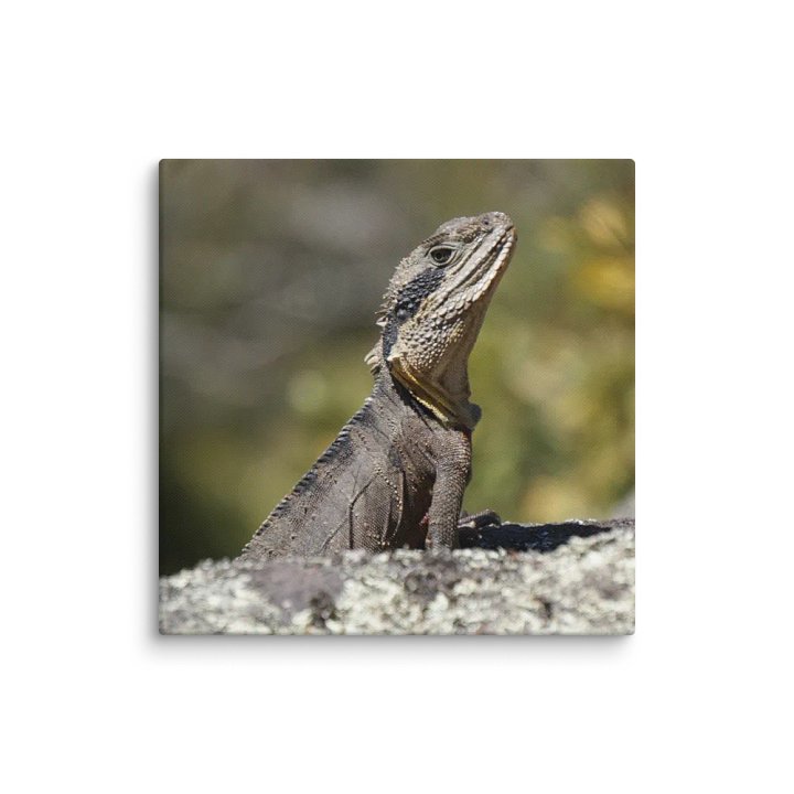 Lizard Canvas product image (1)