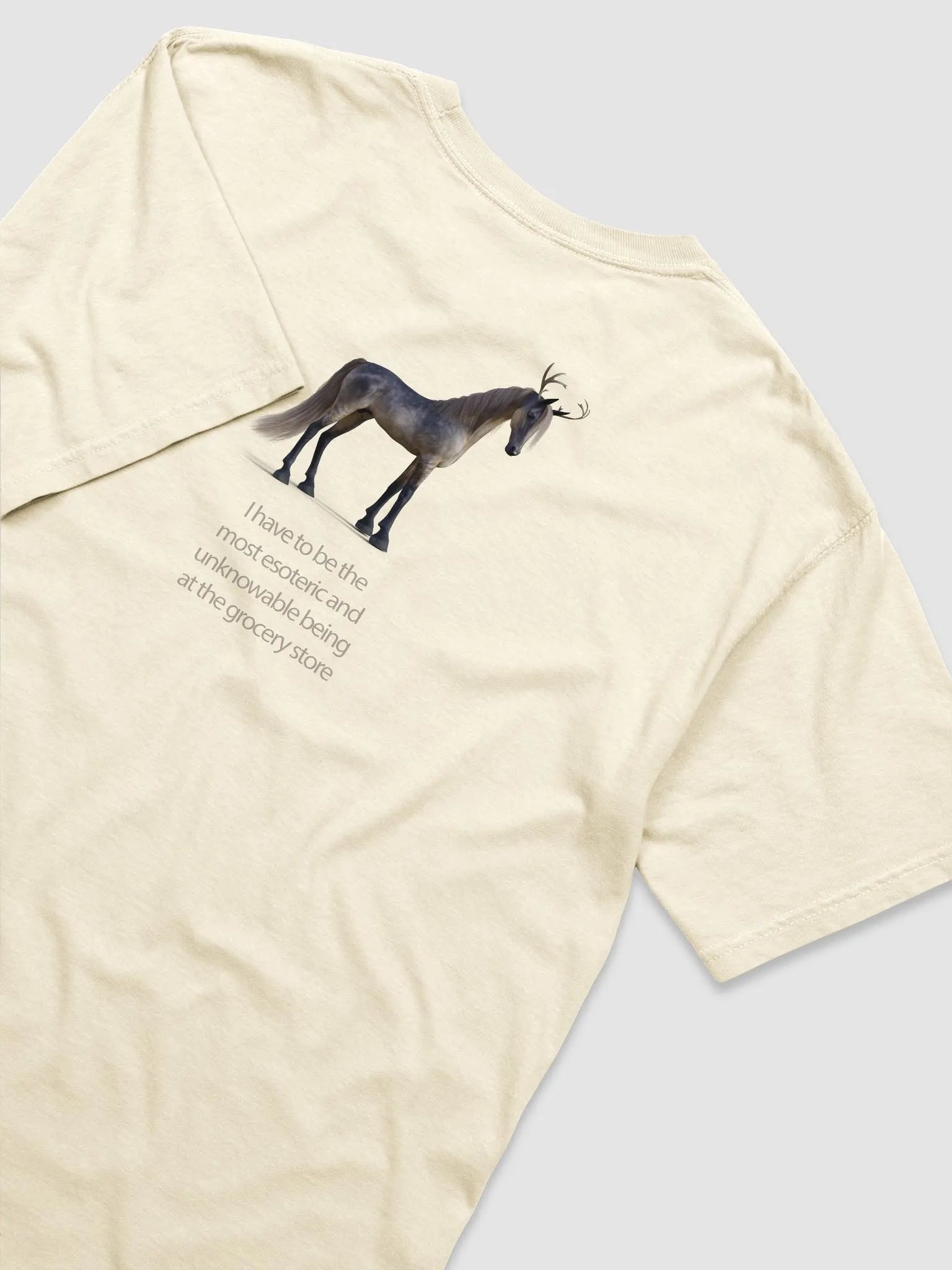 'I have to be the most esoteric being...' T Shirt (design on back) product image (3)