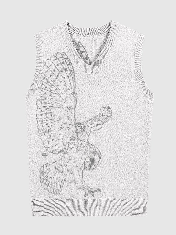 Take Flight - Jacquard V-Neck Vest product image (1)
