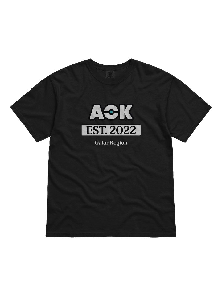 AOK Established Tee product image (1)