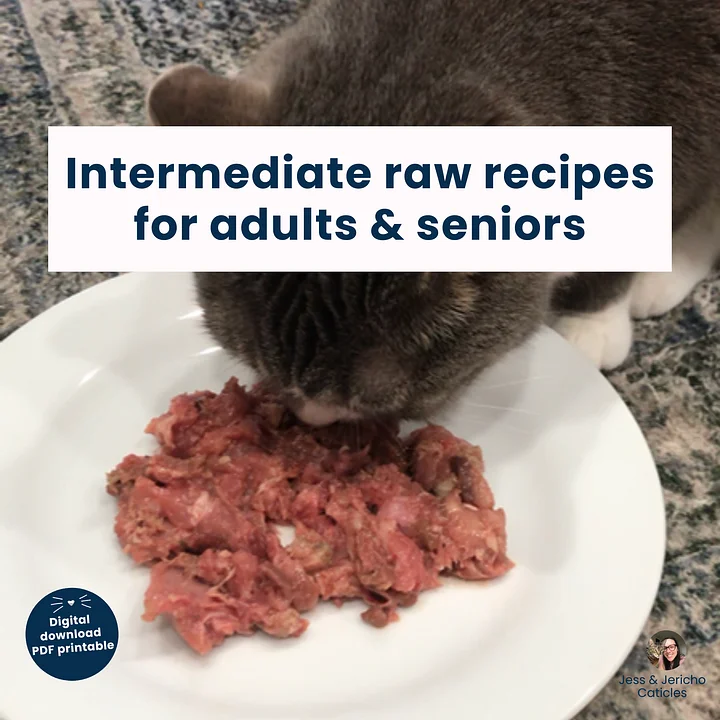 10 intermediate raw cat food recipes for adults & seniors PDF download product image (1)
