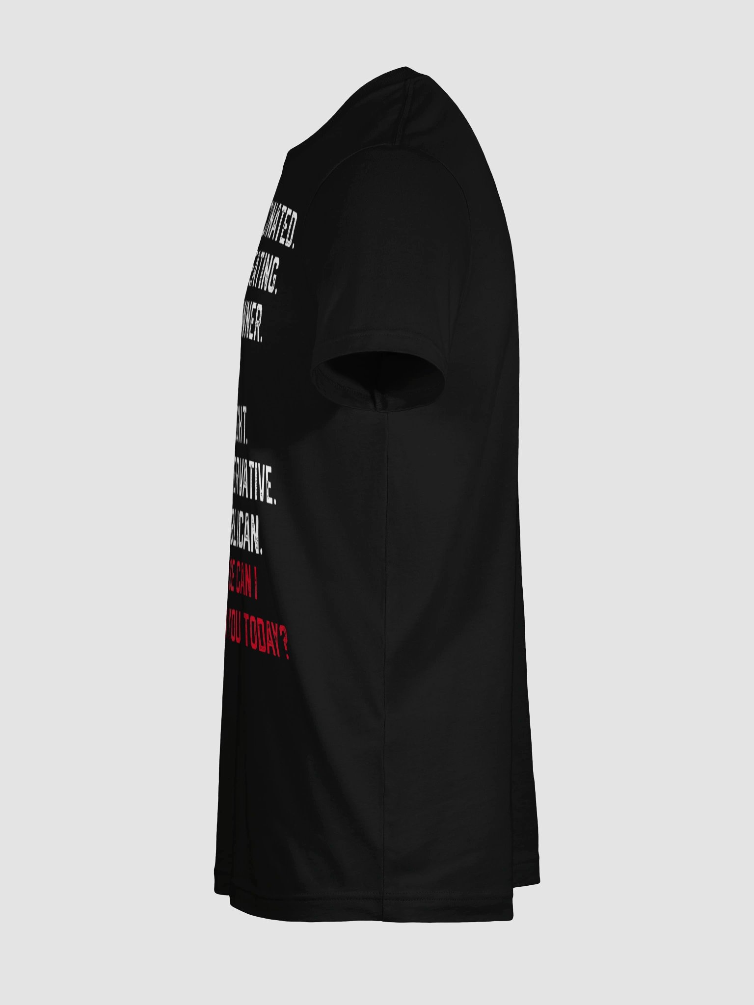 How Else Can I Offend You Today Political Statement T-Shirt product image (89)