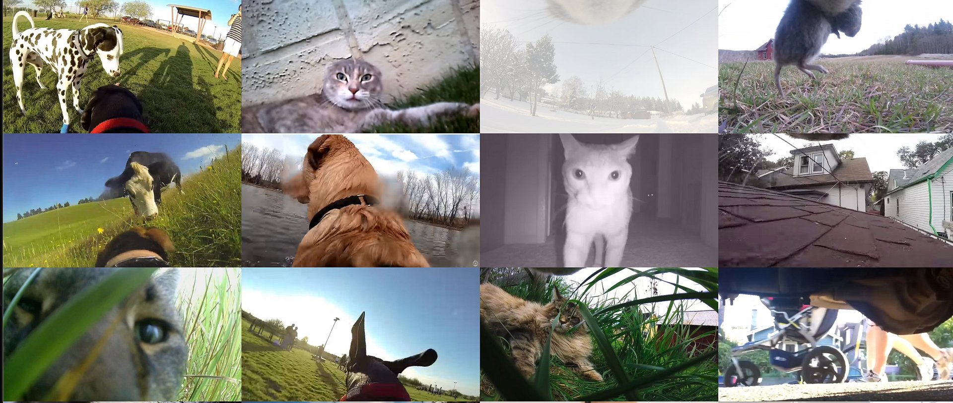 Tiny Pet Camera product image (6)