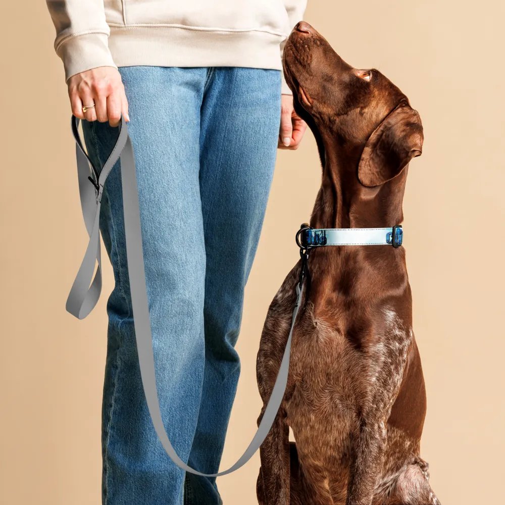 Collar product image (4)