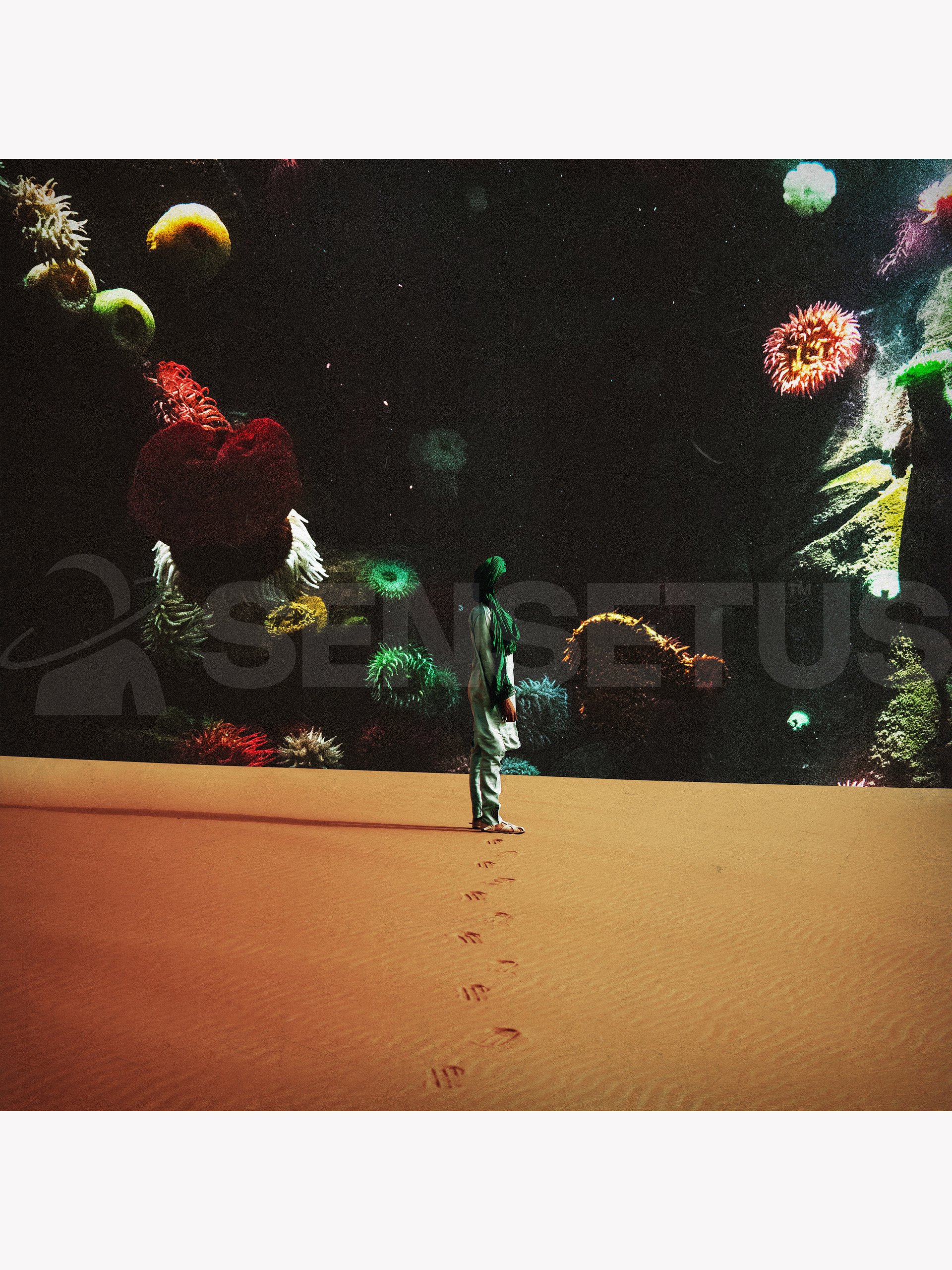 Perdition License product image (1)