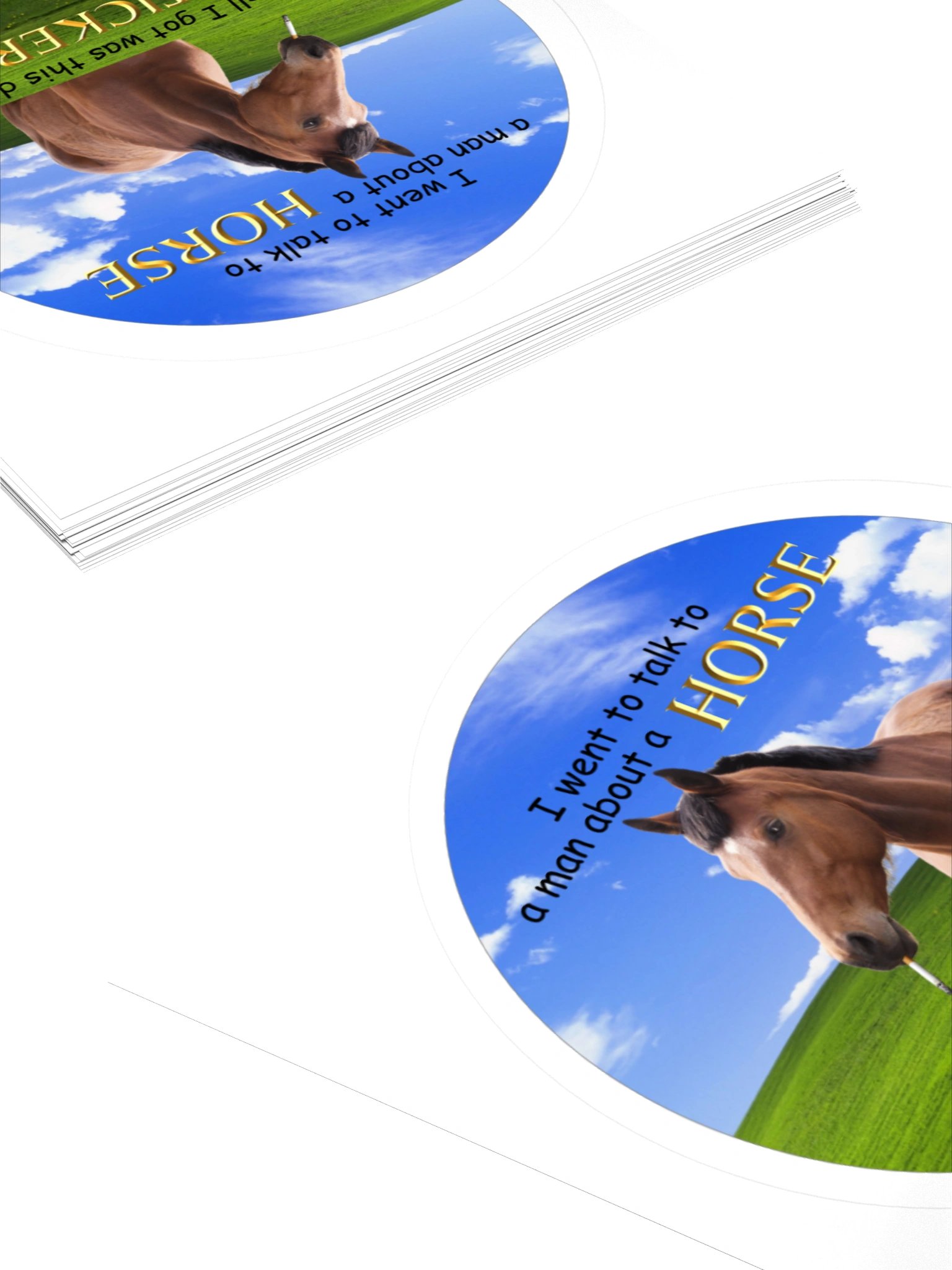 Horse Meeting Gone Wrong Sticker product image (11)