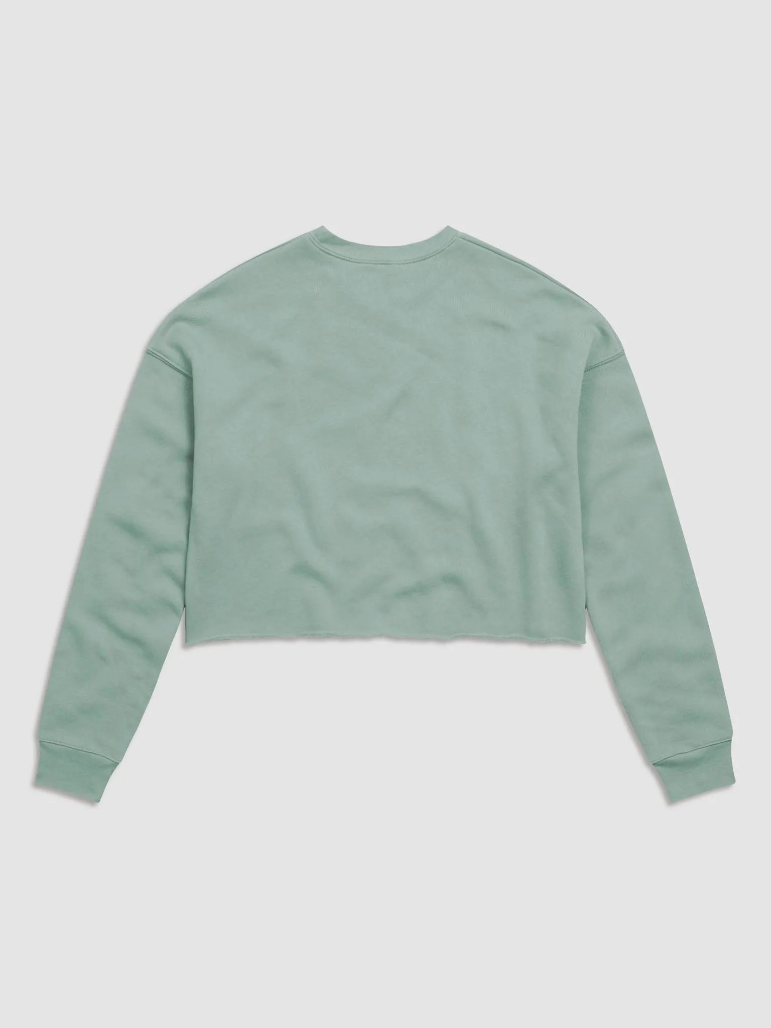 TD Annoyed Gorl Crop top product image (21)