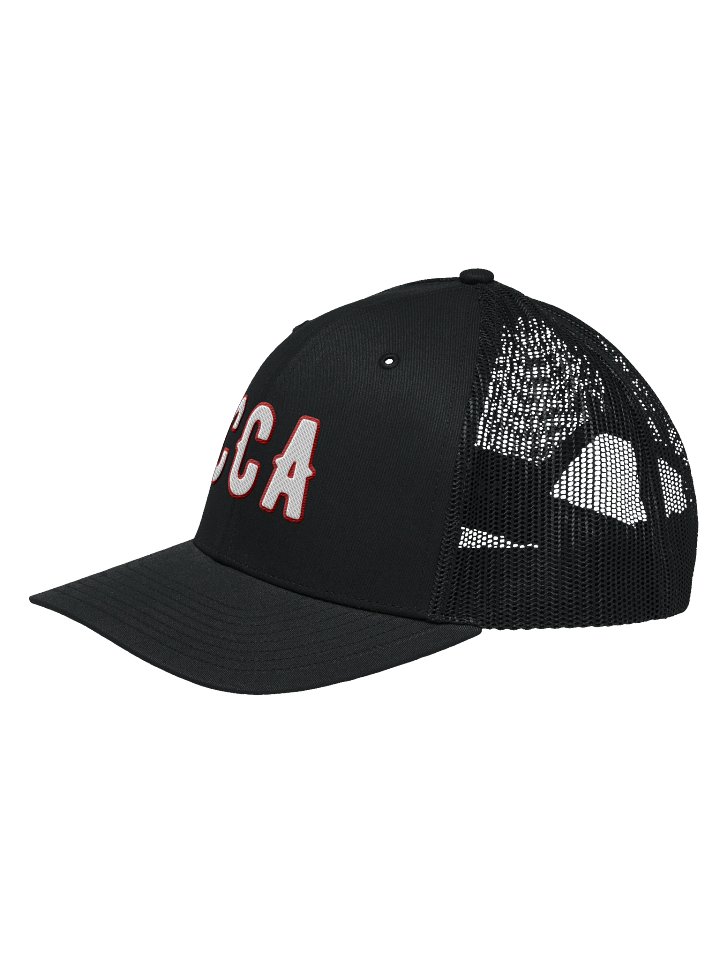 Express Male "CCA" Bold Trucker Hat - BLACK product image (2)