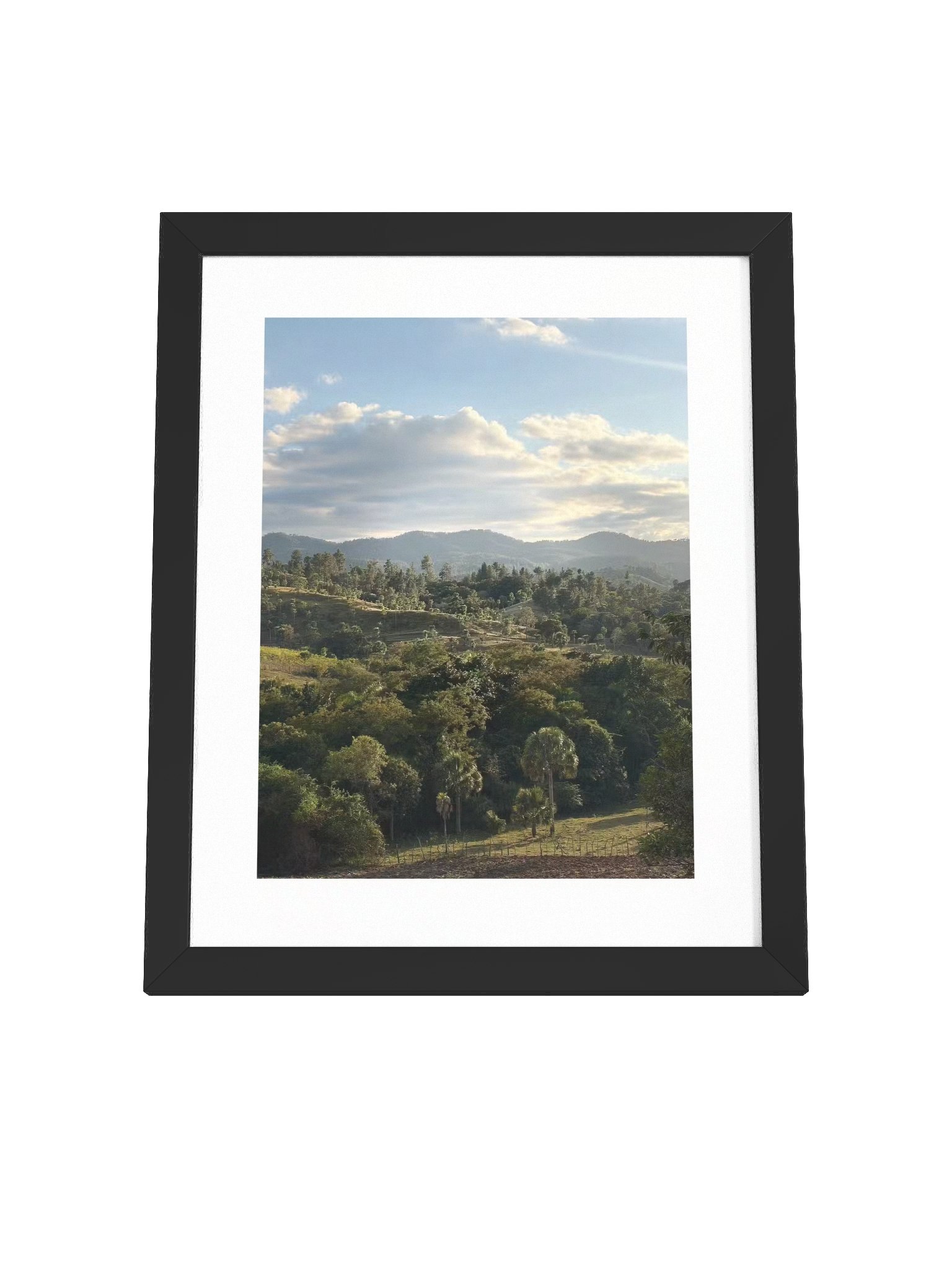 Hills and Palm Tree Framed Art Print product image (12)