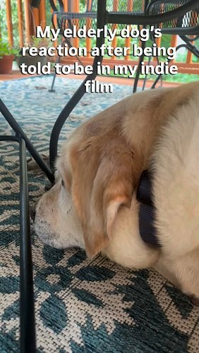 I don’t think she was too excited about the casting decision…

Watch our indie sci-fi thriller trailer now!
Follow @unplug_mo...