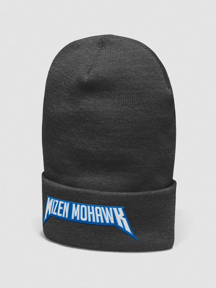 Beanie (Dark Gray) product image (2)