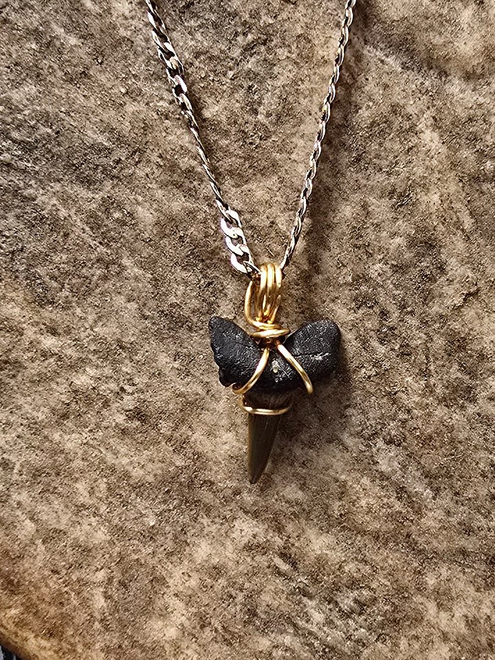 approx. 50 million year old fossil - shark tooth necklace product image (1)