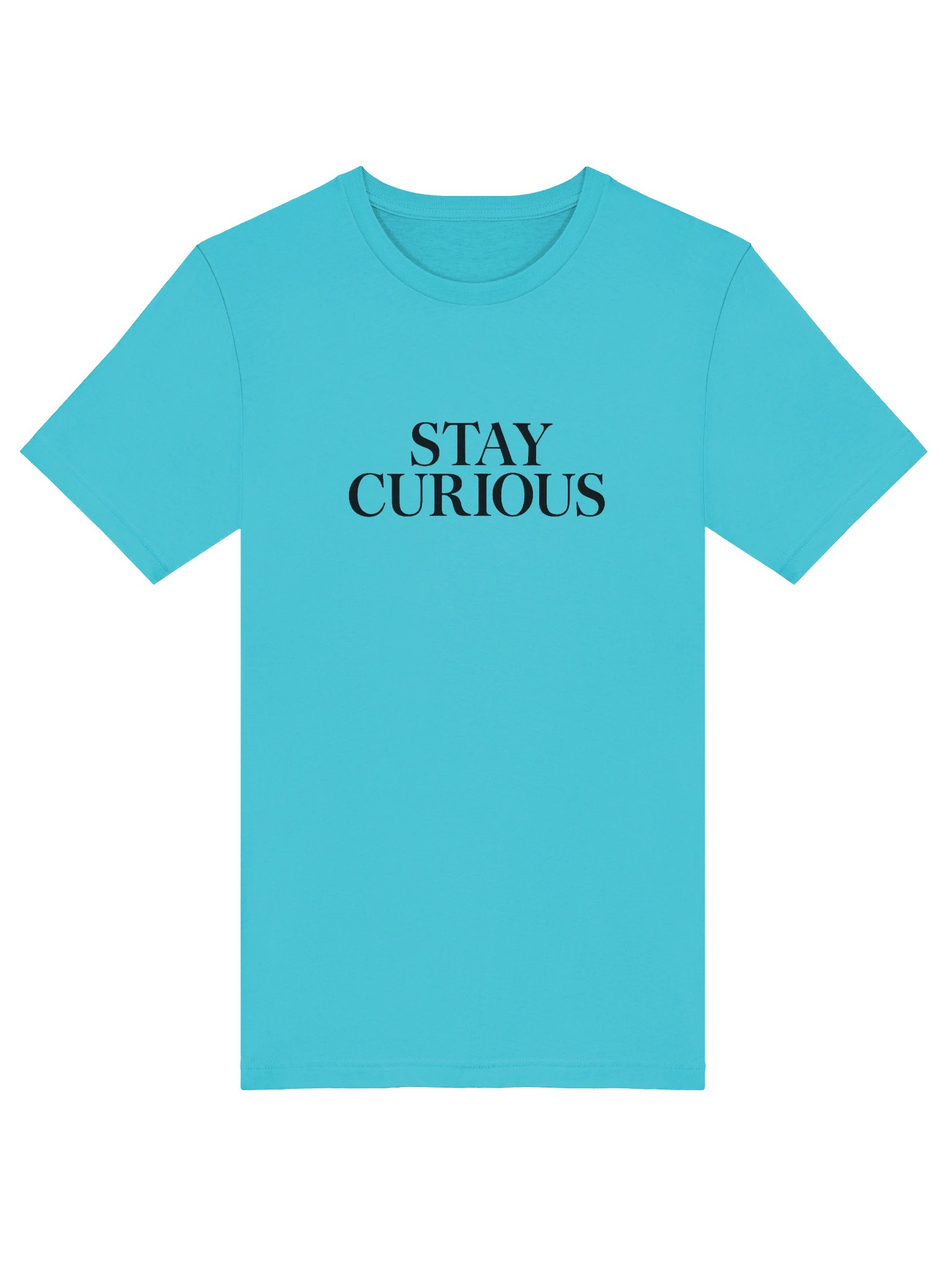 Stay Curious T-Shirt | Motivational Quote Tee | Inspirational Typography Shirt | Bella Canvas 3001 product image (5)