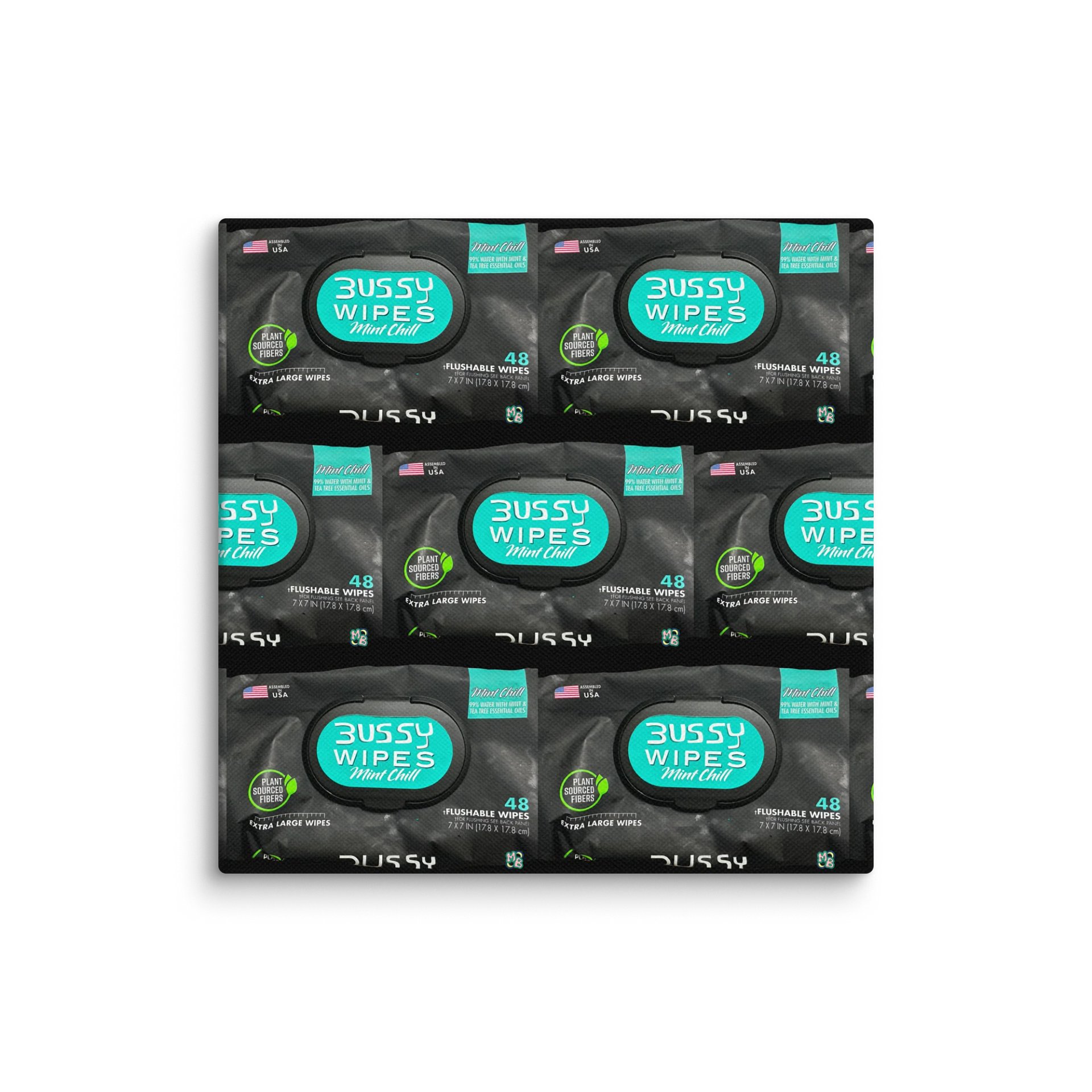 Bussy Wipes | Canvas Print product image (1)