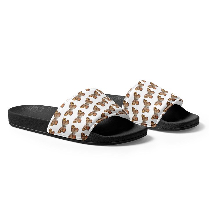 Moth Markings - Men's Slides product image (1)