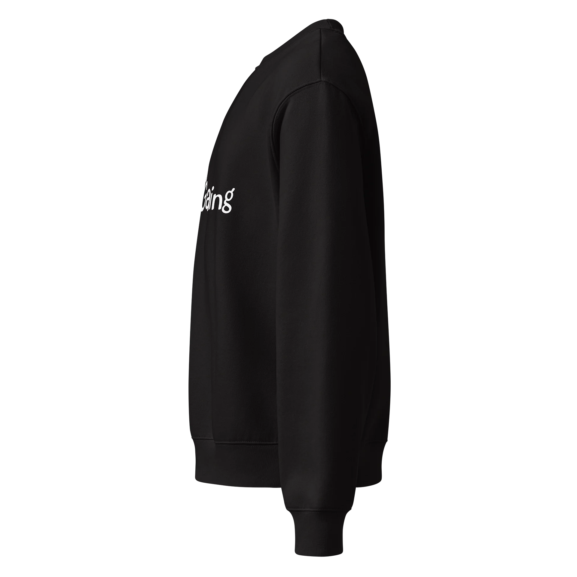 PigeonToast Gaming Crew Neck product image (2)