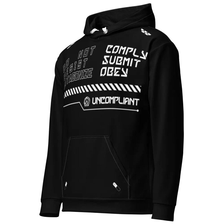 The Statement Hoodie - Black product image (2)