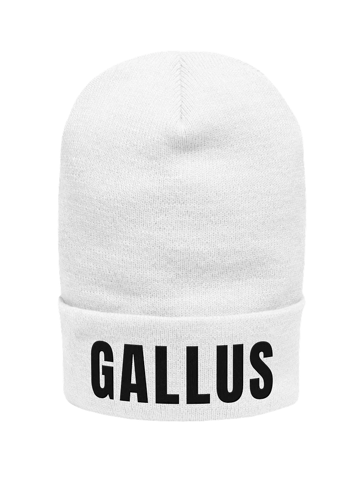 Gallus Beanie Bold product image (16)