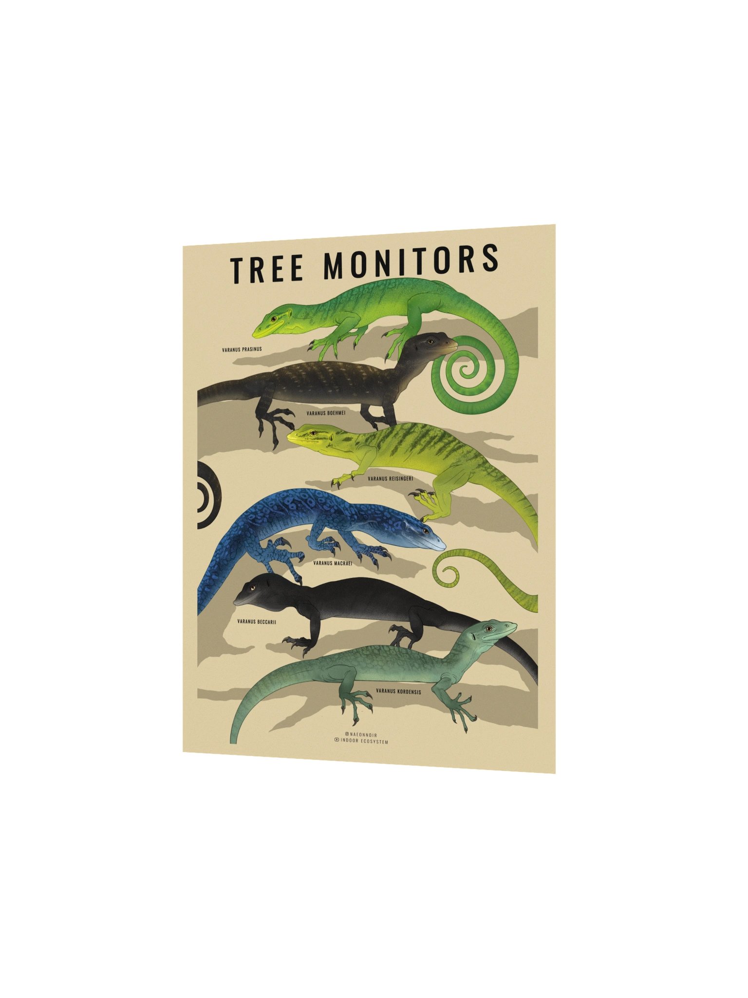 VARANUS TREE MONITOR POSTER (CREAM) product image (2)