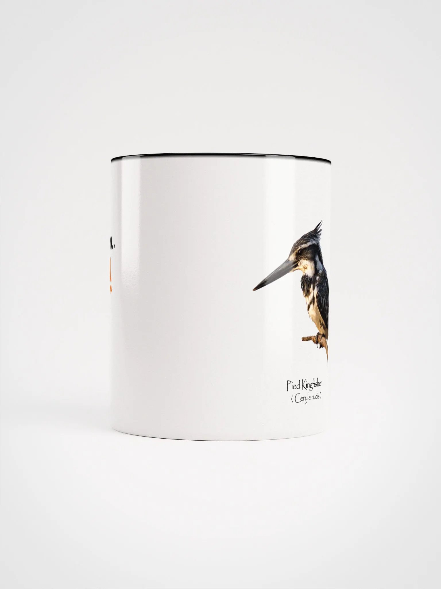 Pied Kingfisher mug product image (50)