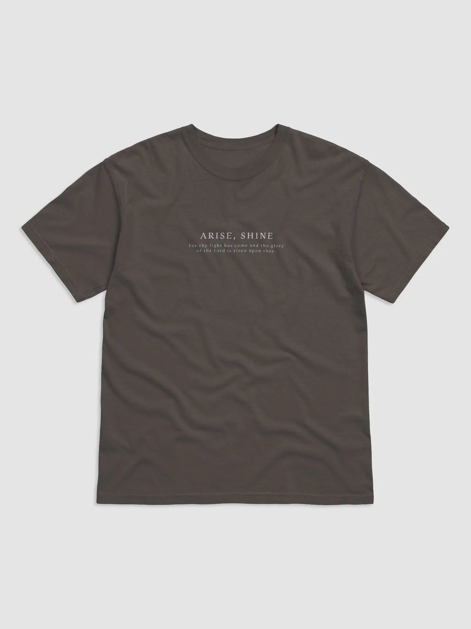 Isaiah 60 - Lightweight T product image (2)