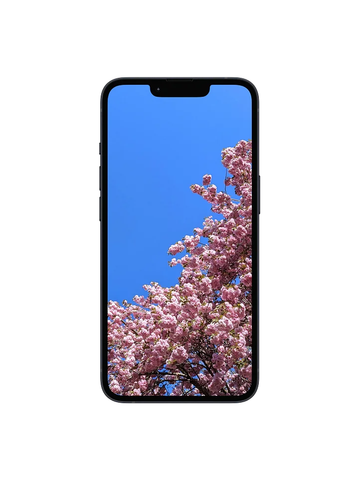 Cherry Blossom Arch Digital Wallpaper Set product image (1)
