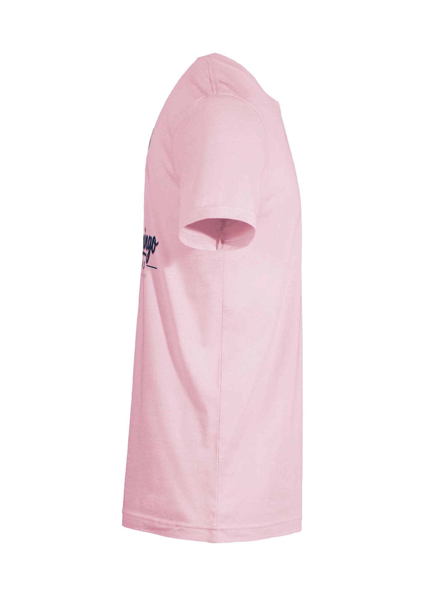 Classic Flamingo Tee product image (38)