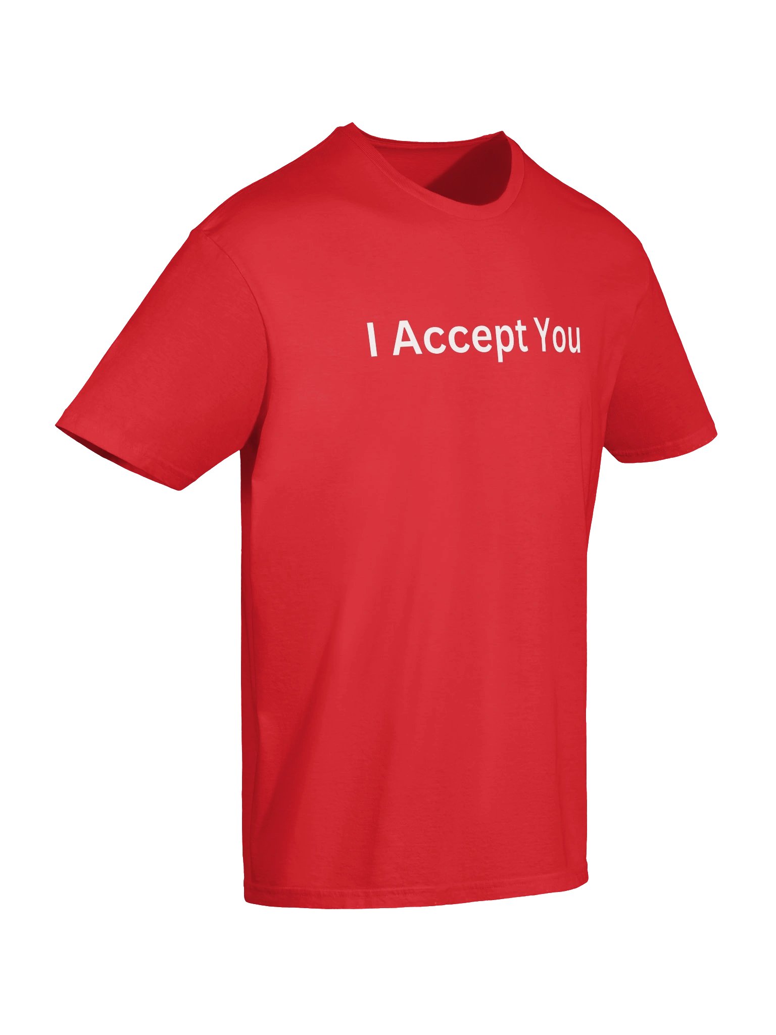 I Accept You T-Shirt product image (23)