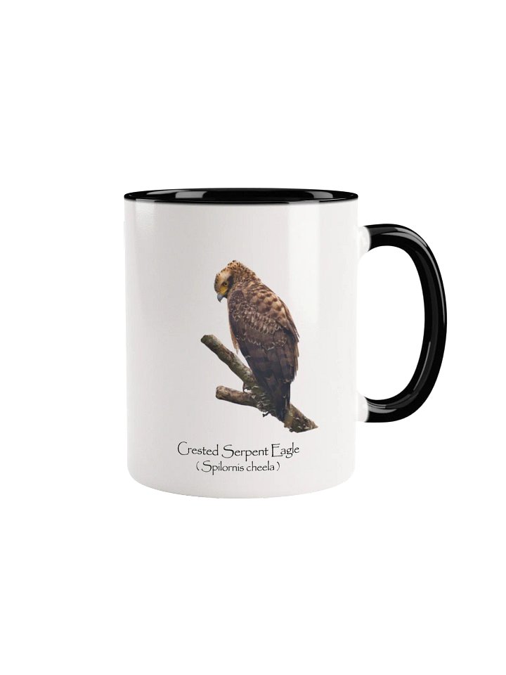 Crested Serpent Eagle mug product image (3)