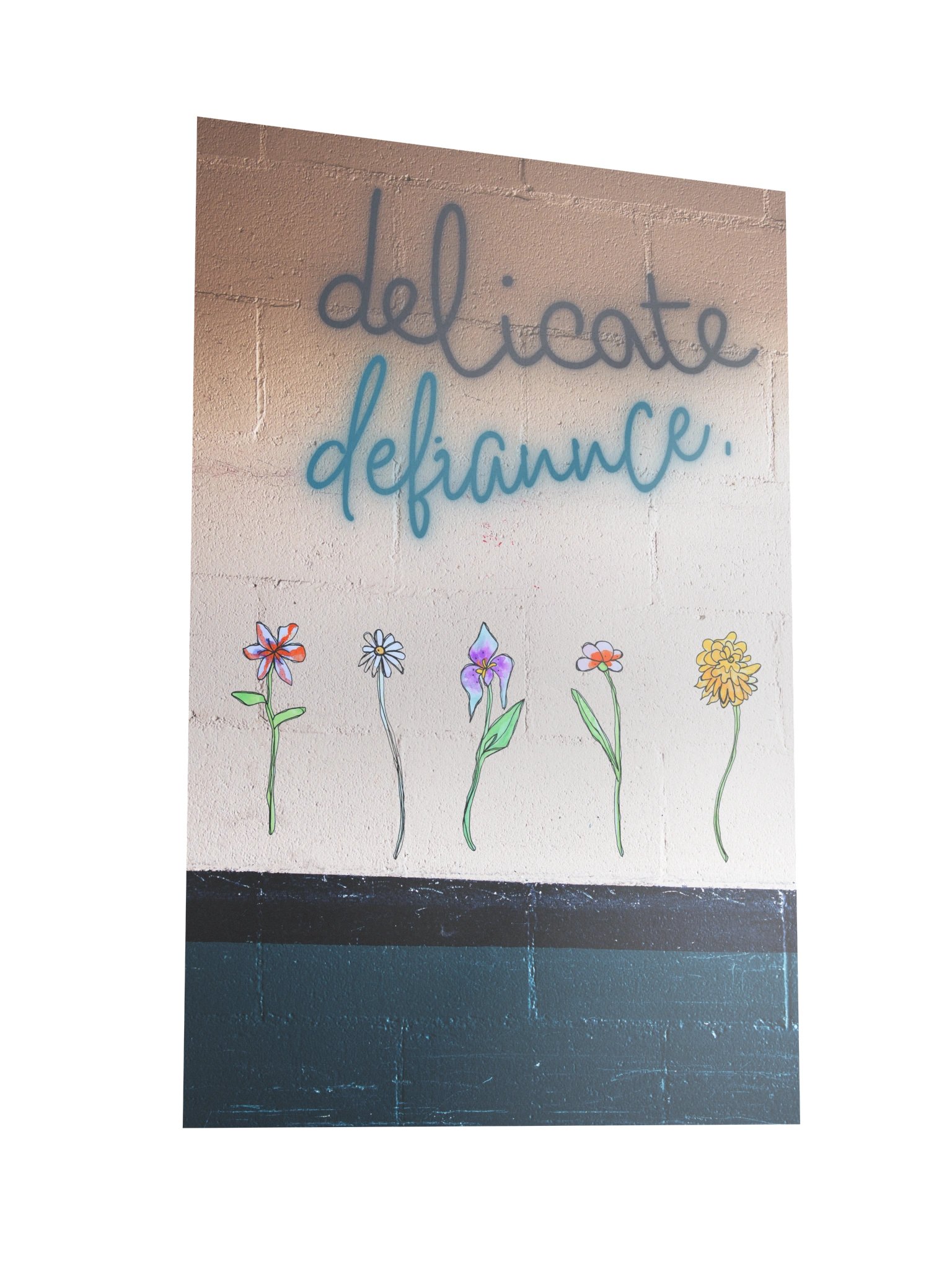 Delicate Defiance product image (2)